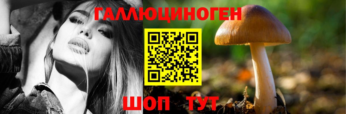 Галлюциногенные грибы Magic Shrooms  Вход с VPN  Избербаш 